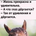 ���� �� ���, �����-��������� - ��������� 26 ����� 2021 � ������ ������� �����