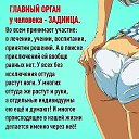���� ������, �������, 61 ��� - ��������� 30 �������� 2021 � ������ �������