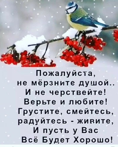   ! - 1  2021  01:13
