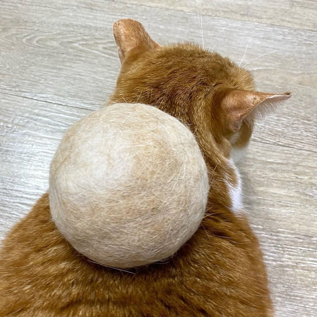     ,     