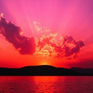 ������, 48 ���, ��������