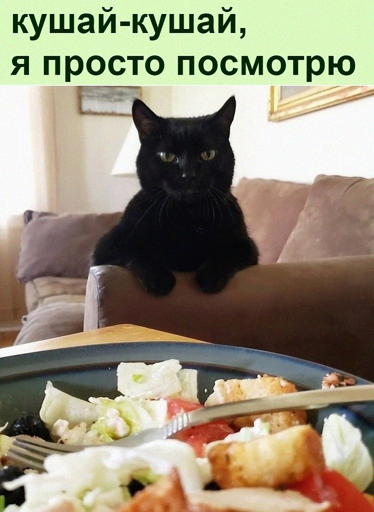   :D - 19  2021  22:26