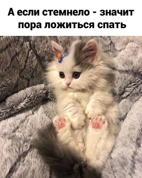 ���-�� ��� � �����, �� � ����� �� ������.������� - 3