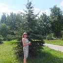 ���� �������, ������, 49 ��� - ��������� 27 ����� 2021 � ������ ���� ����������