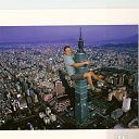 ���� ������, �������� - ��������� 24 ������ 2021