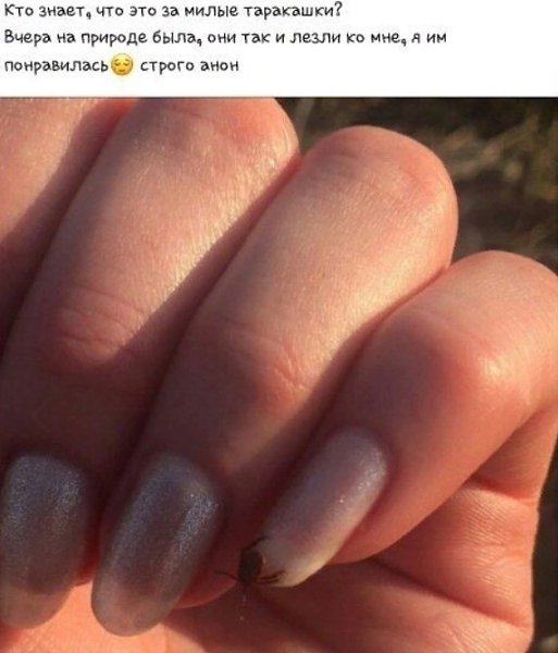 Она, наверное, еще летом с борщевиком в обнимку фотографируется.