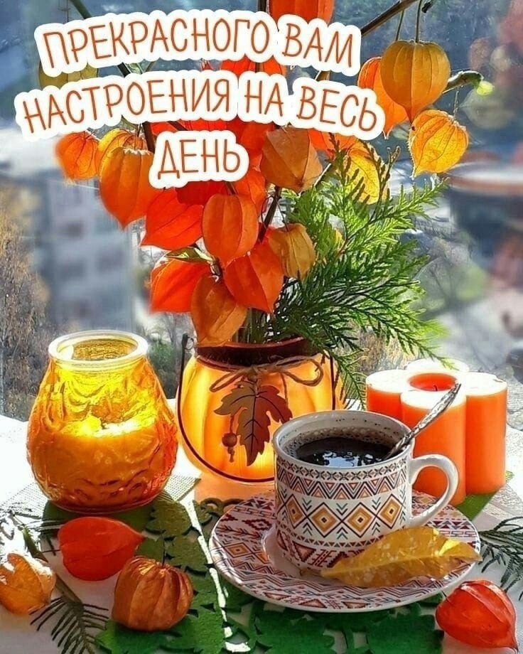   ,    . - 6  2021  12:04 - 2