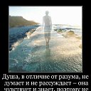 ���� ���������, ��������, 72 ���� - ��������� 14 ������� 2021 � ������ ���� ����������