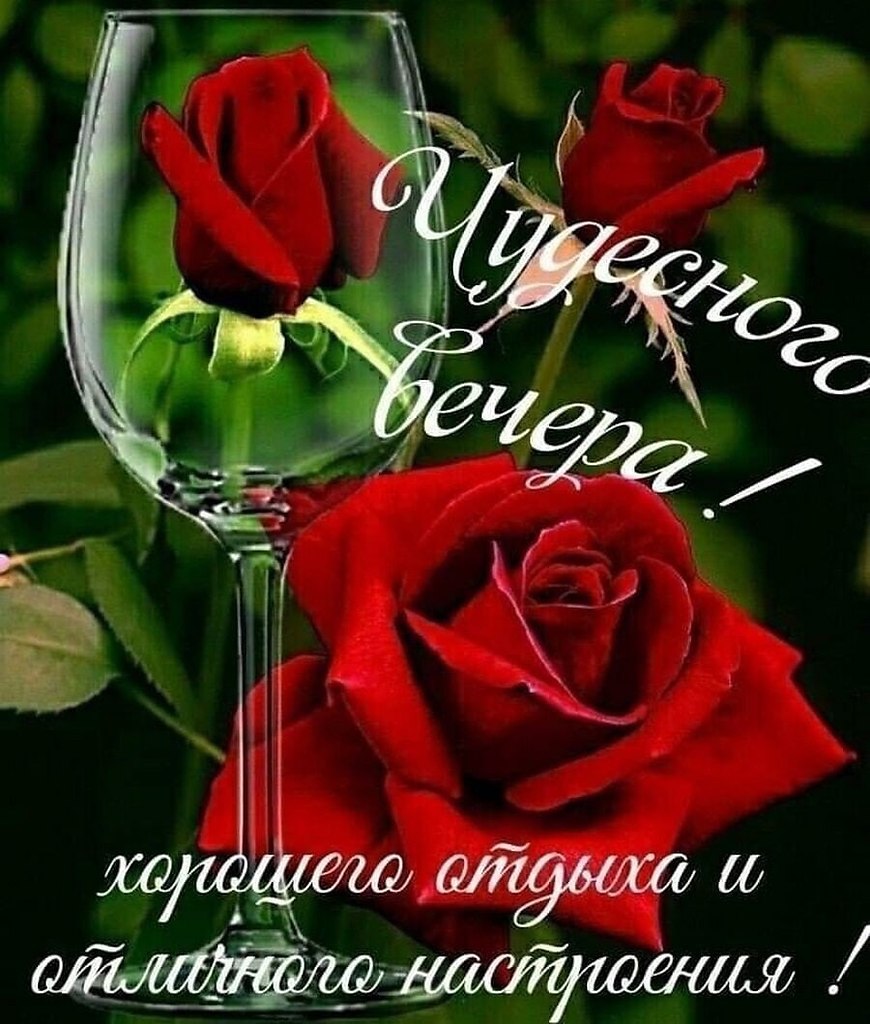   ,    . - 17  2021  19:28 - 3