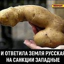 ���� �������, �������� - ��������� 19 ������ 2021 � ������ ������ ��������