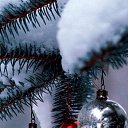 ���� ��� ��&euro; ������, ���������, 22 ���� - ��������� 6 ���� 2021 � ������ ���� ����������