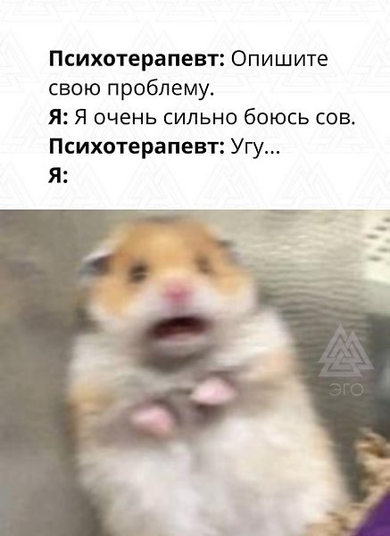 Есть ли у вас фобии? Если есть, как вы с ними уживаетесь?