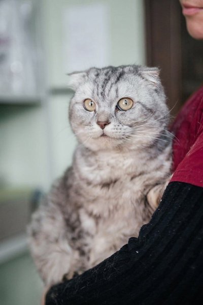 � ������ �� ��������� �����... ��� ��������� ������� �������� ���������� �����, ������� �� ��� ...