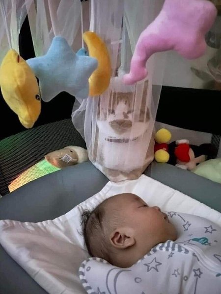 Кажется кот, больше ждал рождения ребенка, чем мы))) - 2