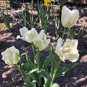 ���� ���������, ����������� - ��������� 13 ��� 2021 � ������ ������ ��������