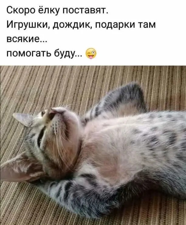 (^///^)