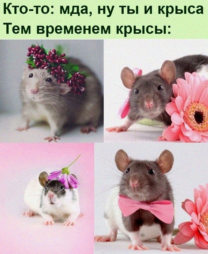   :D - 3  2021  06:37