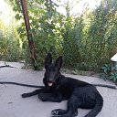 ���� �����, ������, 64 ���� - ��������� 12 ������� 2021 � ������ ���� ����������