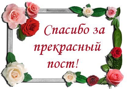   ,    . - 26  2021  18:04 - 2
