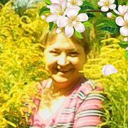 , 66 , 