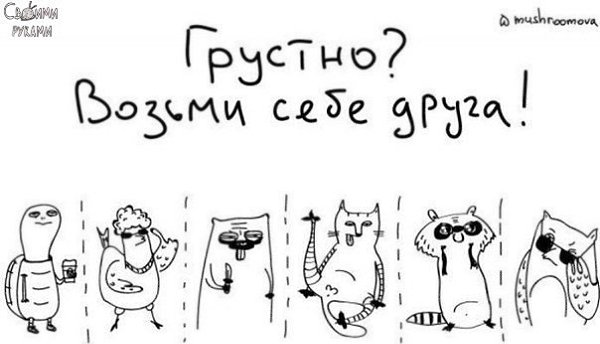 Забавные объявления для поднятия настроения - 7