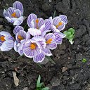 ���� ����, ������ - ��������� 23 �������� 2021 � ������ ������ ��������