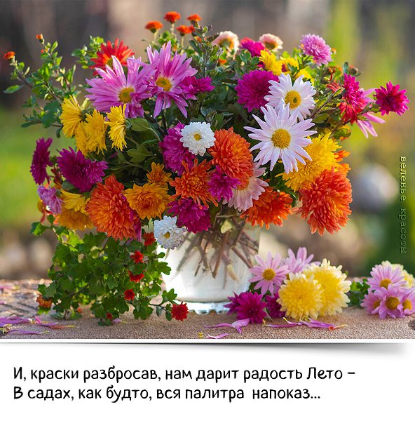 Ñ ÄÎÁÐÛÌ ÑÓÁÁÎÒÍÈÌ ÓÒÐÅ×ÊÎÌ ÂÀÑ ! Ñ ÌÅÄÎÂÛÌ ÑÏÀÑÎÌ ÂÀÑ! ÇÄÎÐÎÂÜß ÂÑÅÌ È ÏÐÅÊÐÀÑÍÎÃÎ ÄÅÍÅ×ÊÀ! ... - 4