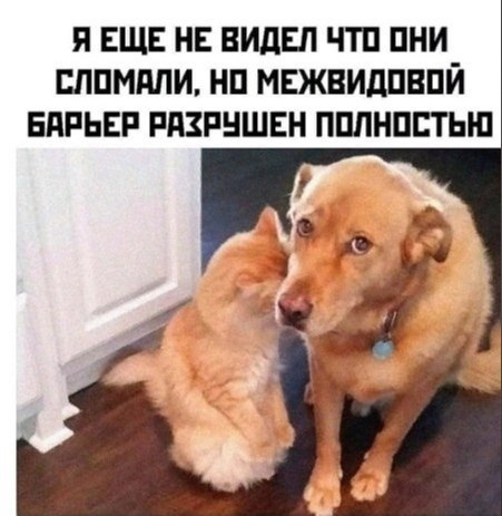     !