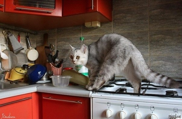  ,    )))       ? - 2