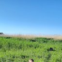 ���� ����, ��������, 62 ���� - ��������� 21 ������� 2021