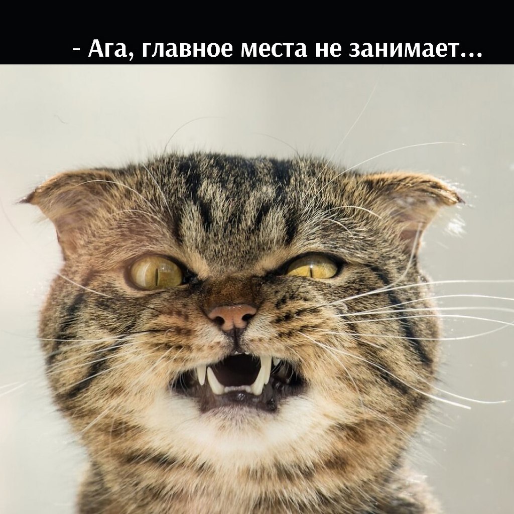       - 5  2021  22:25 - 4