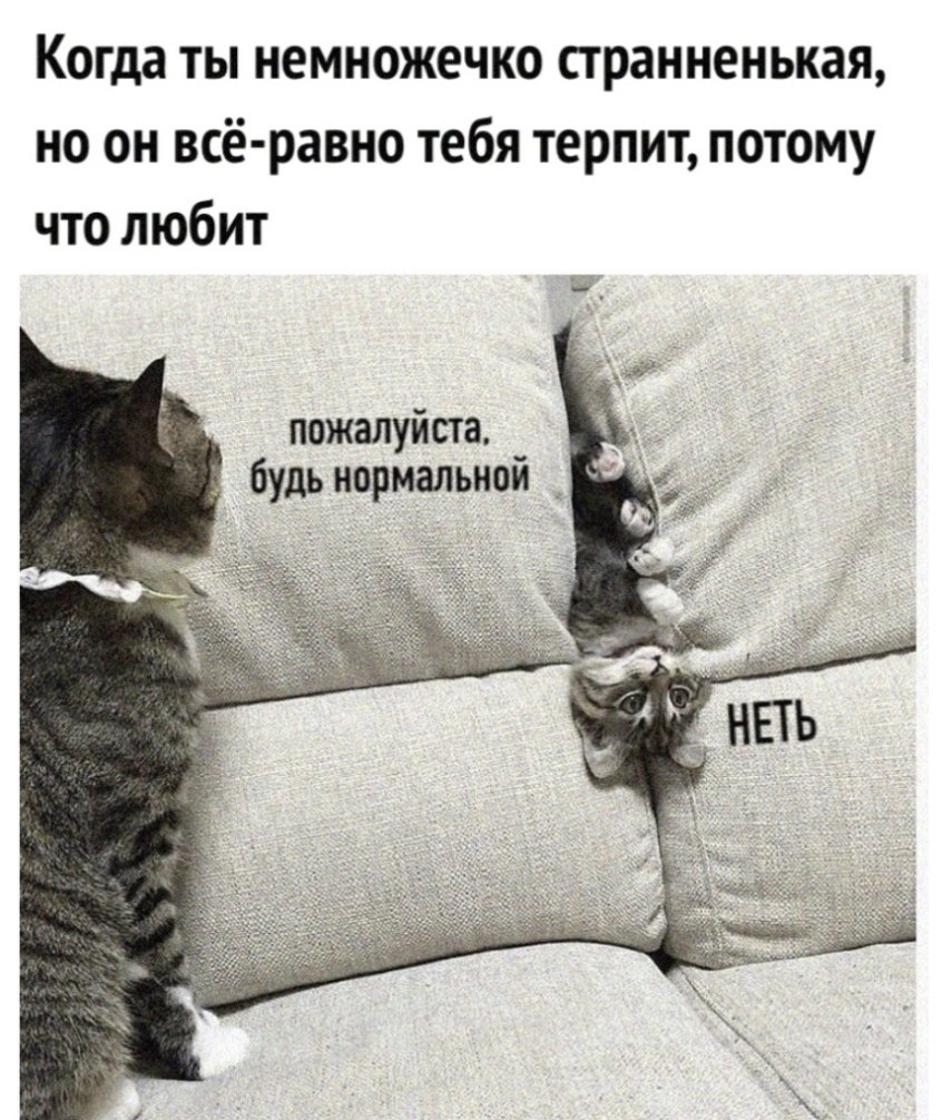  - 13  2021  22:42