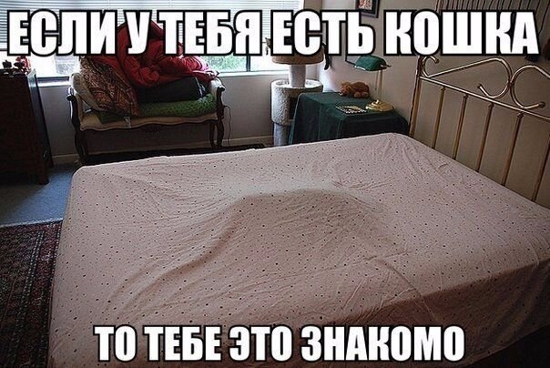    - 9  2021  22:21
