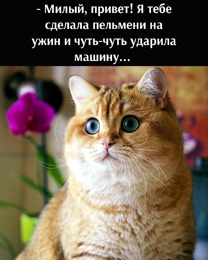       - 18  2021  15:04