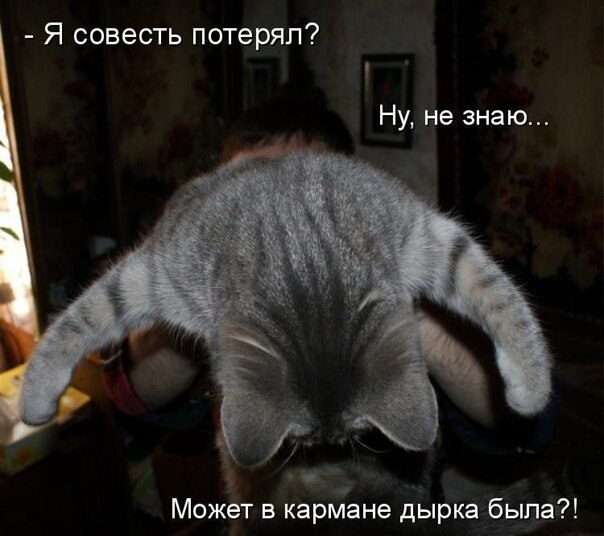   - 26  2021  17:35