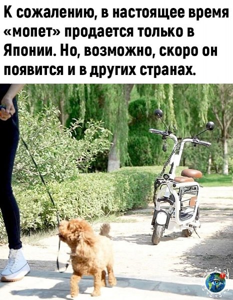   cea eceee! - 3