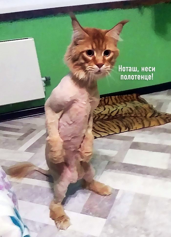    ,   