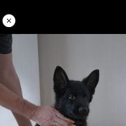 , 37 , 