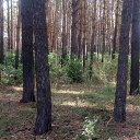 ���� Haver Santa, ���������� ����� - ��������� 28 ���� 2021 � ������ �:)�