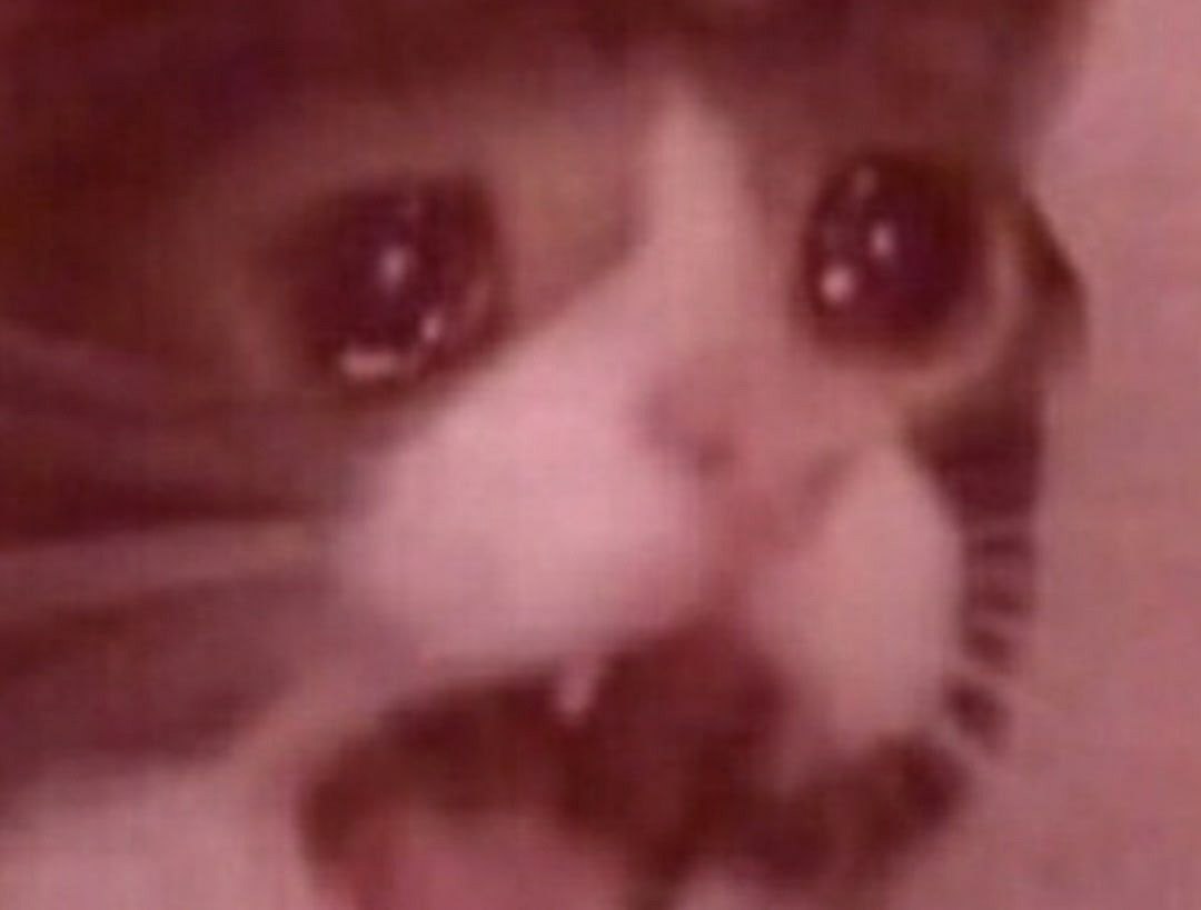      - - 3
