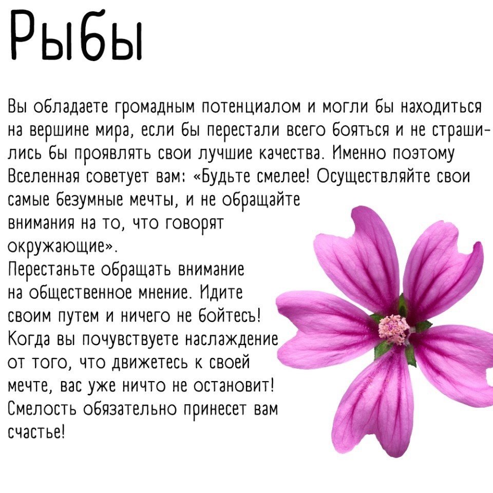      ?  2 - 6