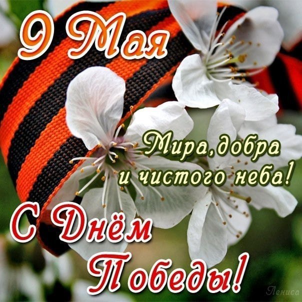   ,    . - 9  2021  01:06 - 8
