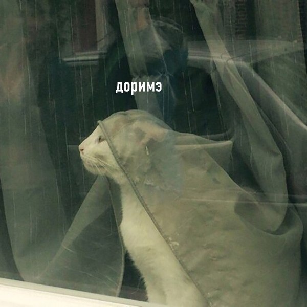  - 18  2021  19:47 - 2