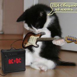 ������, ���������