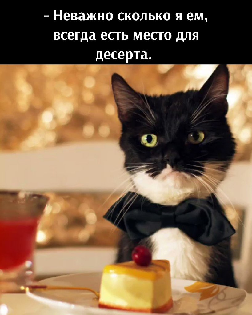       - 1  2021  15:04
