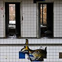  Gerar,   -  26  2021    