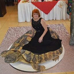 , 52, 