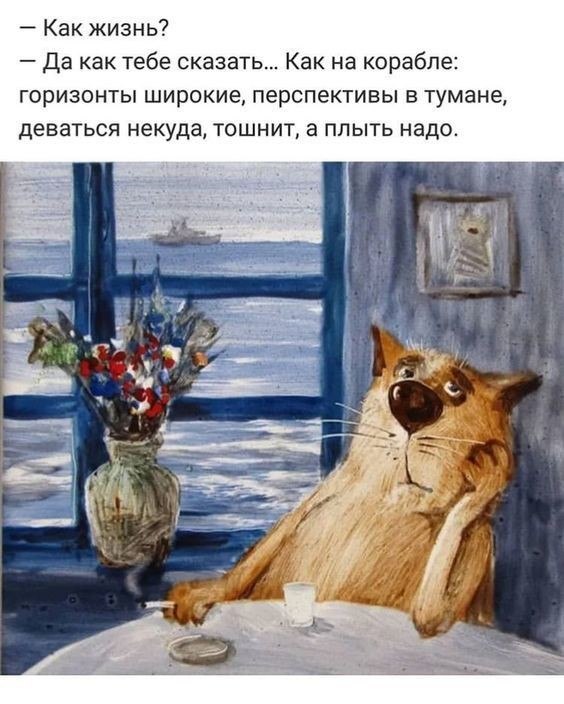   ! - 23  2021  21:24