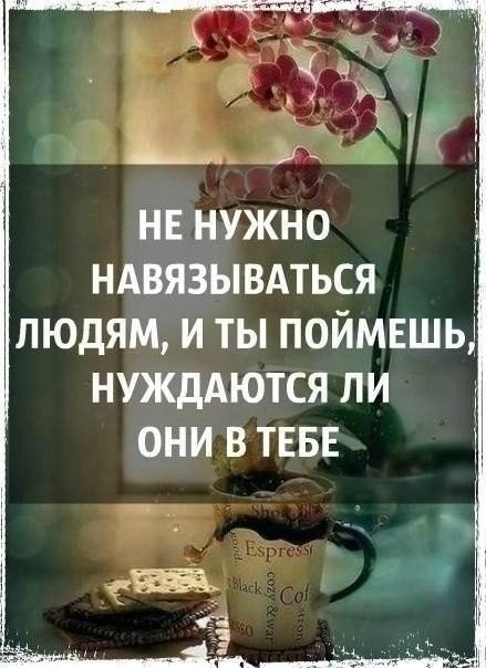    - 18  2021  17:41 - 5