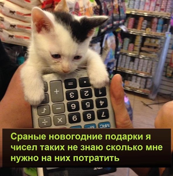   :D - 12  2021  11:37